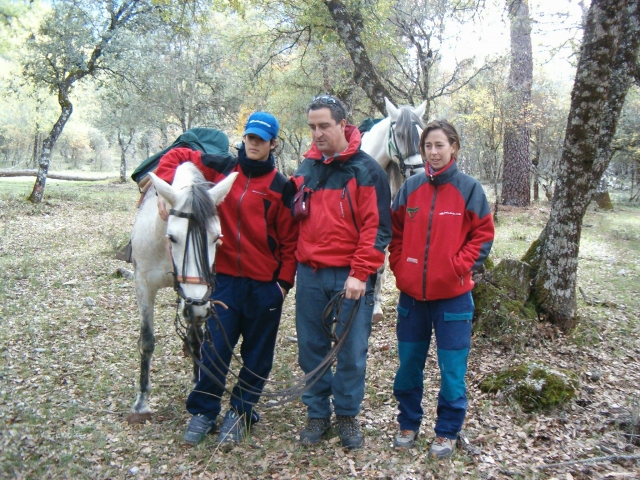  À côté du cheval 